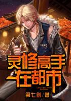 修仙高手在都市林易