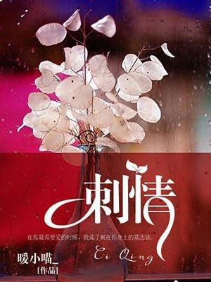 刺情电视剧全集播放