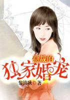 总裁的独家私宠