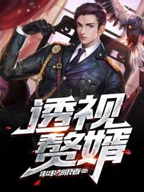 透视赘婿陈凡免费阅读