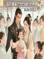 王府里来了个捡破烂的崽崽三颗小石