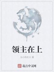 领主在上 当心枪走火