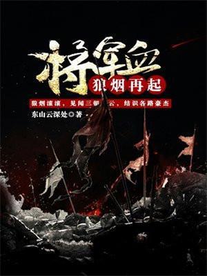 狼将军电视剧