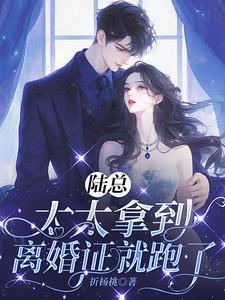 陆太太又在闹离婚了