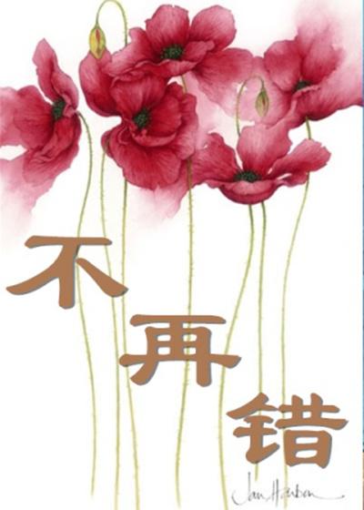 不再错过什么什么的记叙文600字