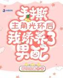 手撕炮灰主角光环by杨柳垂堤