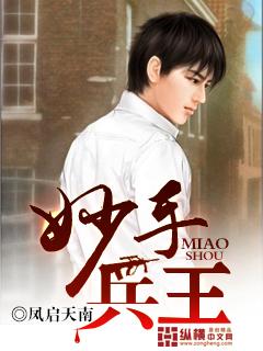 妙手兵王刘璐和许飞叫什么