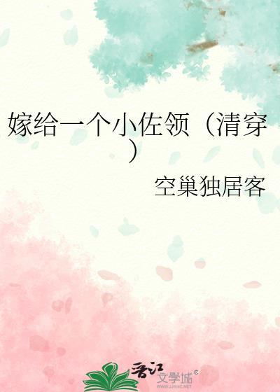 嫁给一个小佐领(清穿)TXT