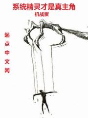 精灵系统流完结