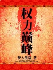 权力巅峰从基层公务员开始TXT