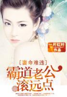 宠妻如命霸道老公太给力全文免费阅读全文