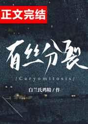 有丝分裂染色体数目变化图