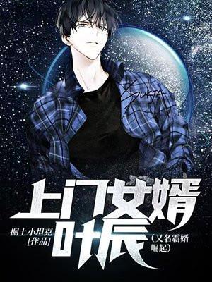 上门女婿叶辰完整版免费阅读