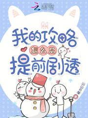 我的攻略没有问题