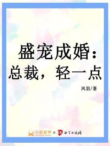 总裁轻点宠笔趣阁