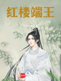 红楼端王全本免费阅读