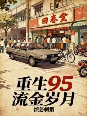 重生95流金岁月无防盗