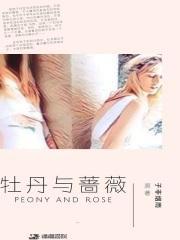 牡丹与蔷薇日剧百度