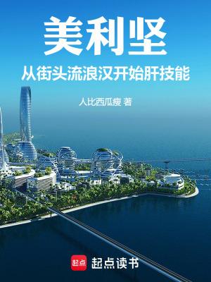 美利坚从街头流浪汉开始肝技能