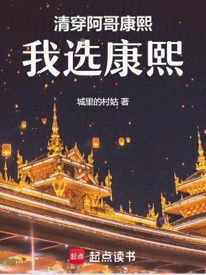 清穿阿哥康熙我选康熙晋江