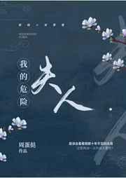 我的危险夫人 归山玉讲的什么