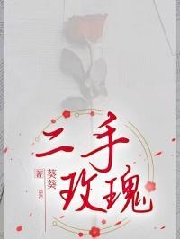 二手玫瑰的电影叫什么