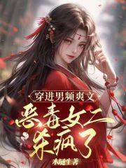 穿到男频文的女主