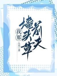 我的墙头草千千万万txt无防盗