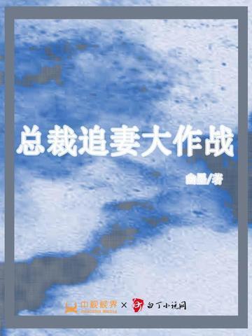 总裁追妻日常