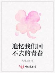 追忆我们回不去的青春歌词是什么