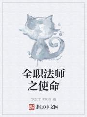 全职法师之全职者