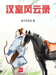 汉室风云录动漫免费观看