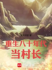 重生80年代当村长