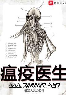 黎明医生TXT电子书