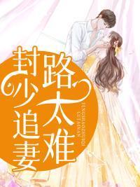 宠妻请节制免费阅读全文