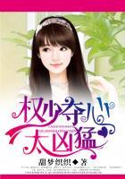 霸道首席追妻108计