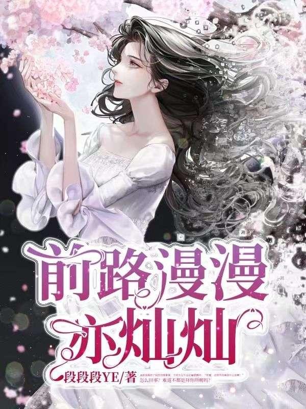 前路漫漫亦灿灿怎么读