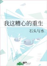 我这糟心的重生TXT石头与水