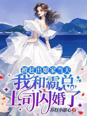 我和霸总上司闪婚了打小甜心的