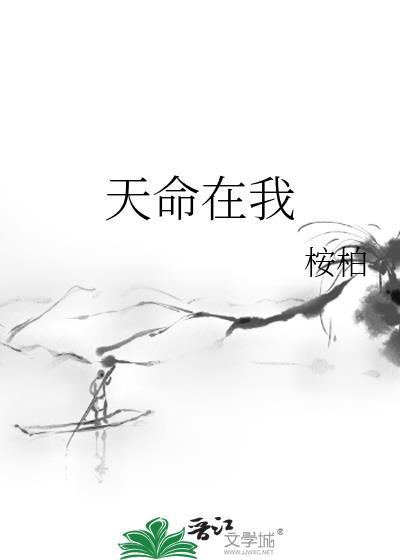 天命在我文书中的三国史