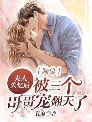 夫人又闹离婚了全文免费阅读