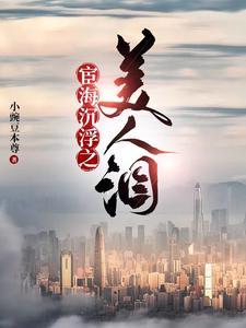 官海沉浮之美人泪为什么不更新