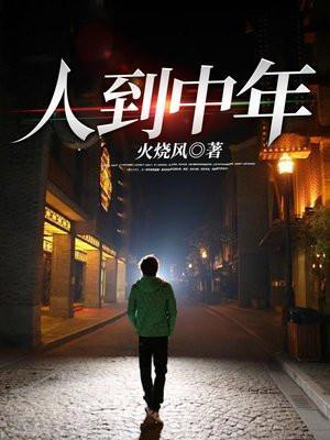 人到中年歌曲原唱