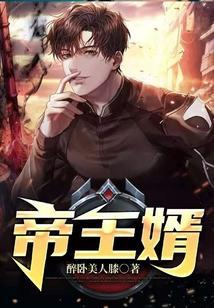 帝王婿免费阅读