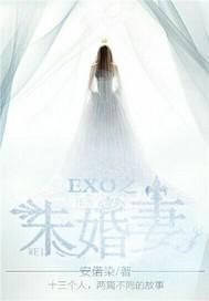 exo之天才未婚妻