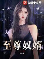 至尊女婿免费阅读最新