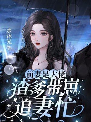 前妻的大佬群