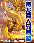 黄龙真人异界游百度百科