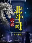 大宋北斗司豆瓣