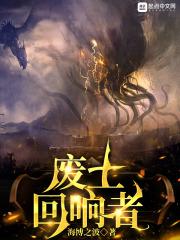 废土回响者好看